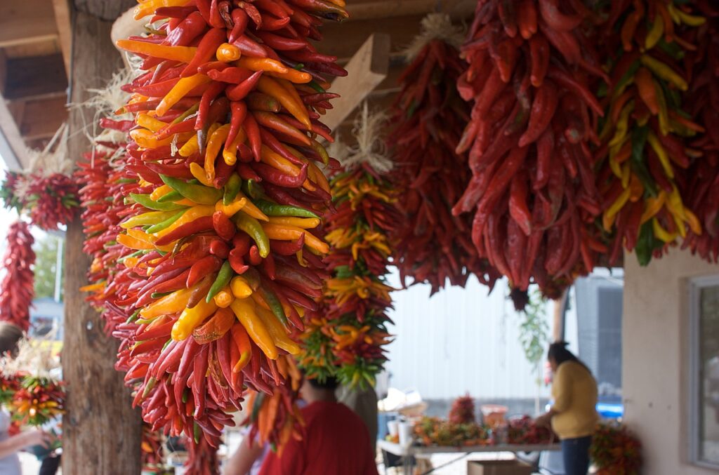 drying chilli pods on the line